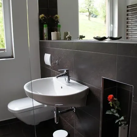 Weinrebe Oberhermsdorf Nahe Dresden *