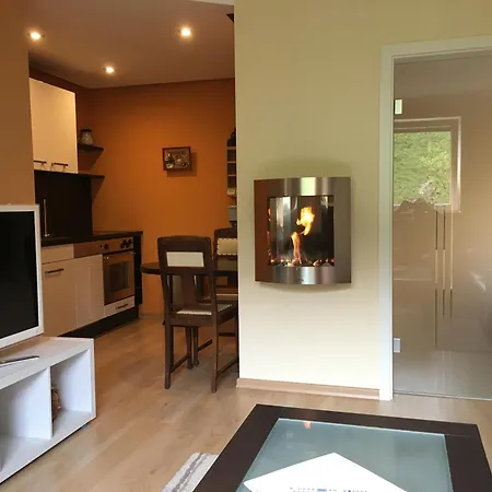 Weinrebe Oberhermsdorf Nahe Dresden Wilsdruff