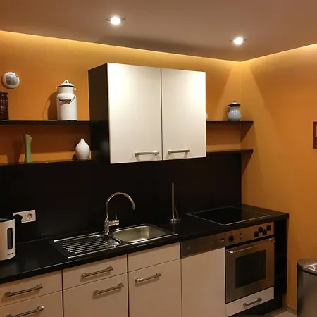 Weinrebe Oberhermsdorf Nahe Dresden Apartamento