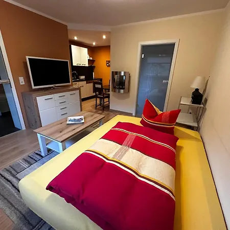 Weinrebe Oberhermsdorf Nahe Dresden Wilsdruff