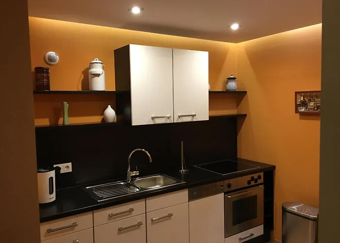 Weinrebe Oberhermsdorf Nahe Dresden Apartment