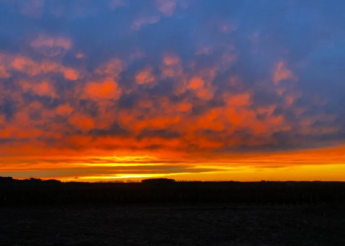 Apartment Weinrebe Oberhermsdorf Nahe Dresden *