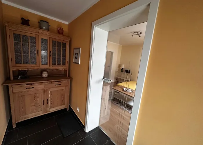 Weinrebe Oberhermsdorf Nahe Dresden Wilsdruff